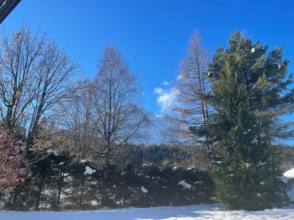W3 Haus Ganghofer Lägenhet Leutasch Exteriör bild